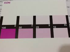 Salifert Nitrate Test Kit colour chart