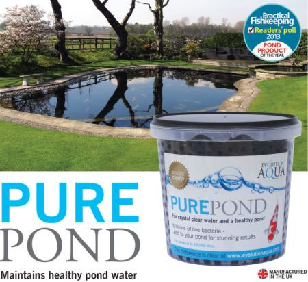 PurePond for wild life pond